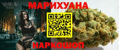 гидропоника Новозыбков